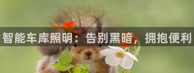 云顶国际平台是黑平台吗知乎