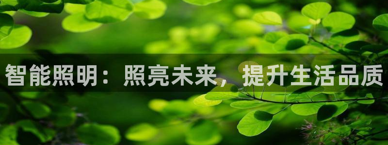云顶国际赌彩公司下载