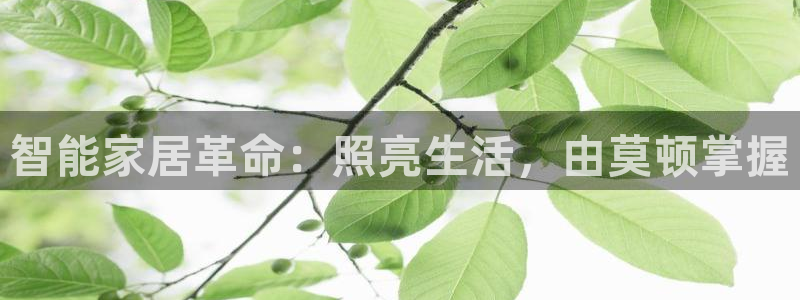 云顶国际广场A座
