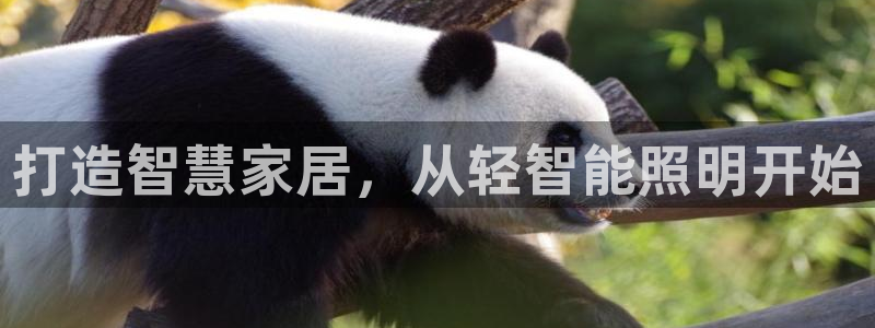 云顶国际商业广场 可以停车吗