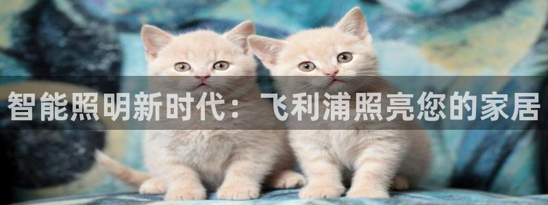 云顶国际酒店电话多少