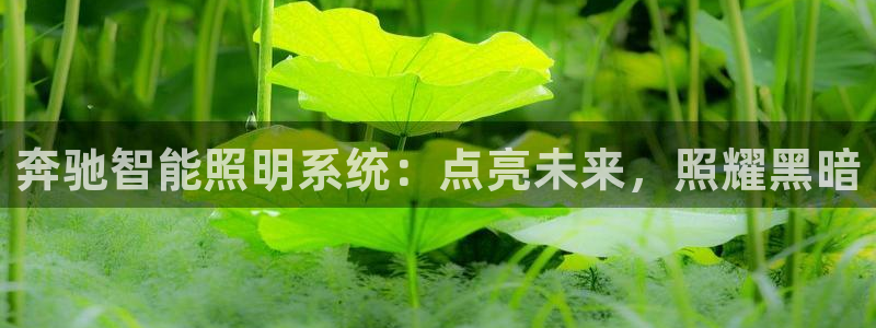 yoga云顶