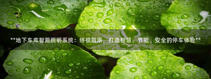云顶国际公馆户型图