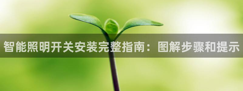 云顶集团网投