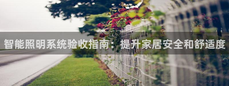 云顶国际服怎么更新