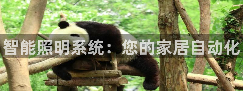 云顶国际教育