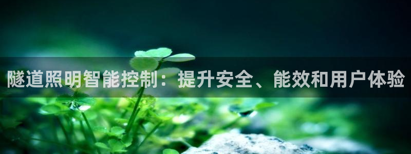 云顶集团app