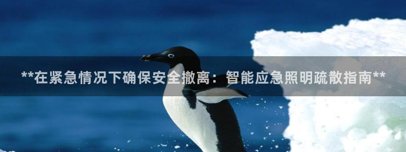 云顶集团网投领跑者