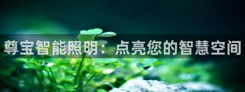 云顶国际是个什么平台