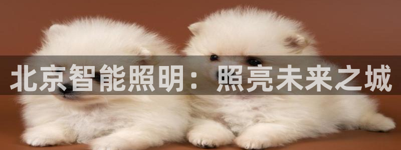 云顶国际二手房出售最新信息