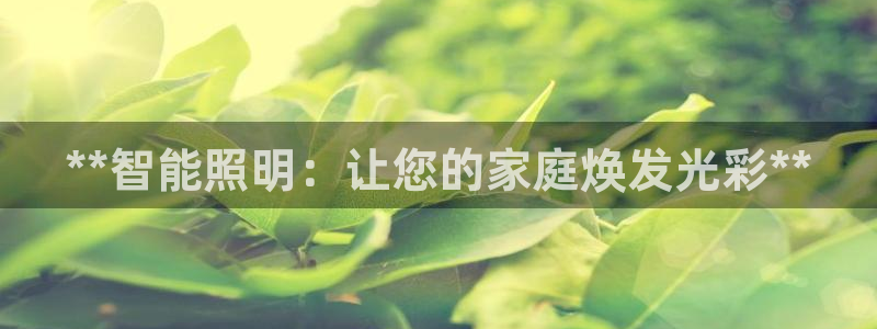 云顶国际服什么时候更新s90