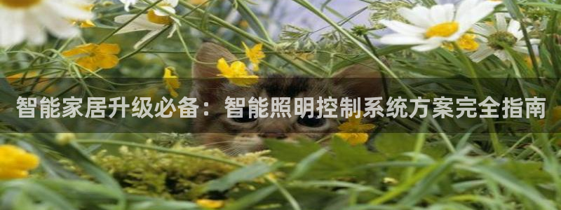 云顶国际晟荣协会