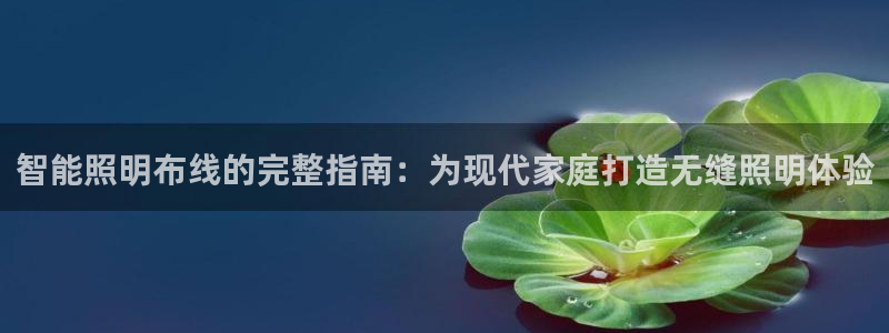 云顶国际网站进不去了
