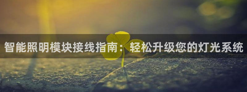 云顶国际酒店几星级的