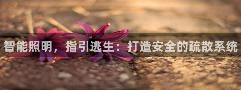 太原云顶国际酒店老板是谁