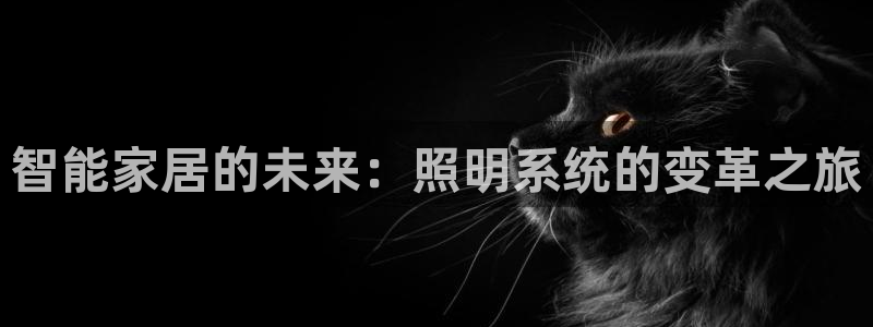 云顶国际物流电话