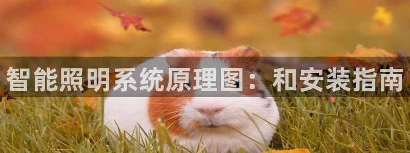 云顶集团优惠申请大厅