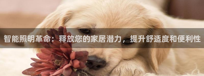 云顶线路检测 官方网站