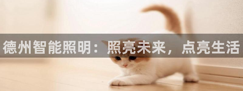 云顶国际装饰设计公司