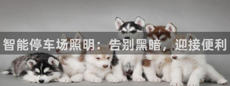 云顶国际商业广场A座101