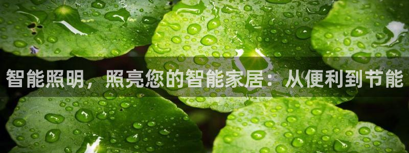 云顶国际官网下载