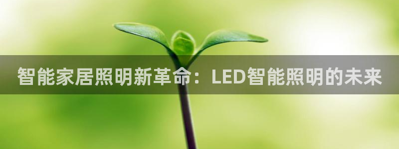 yd2333云顶电子游戏