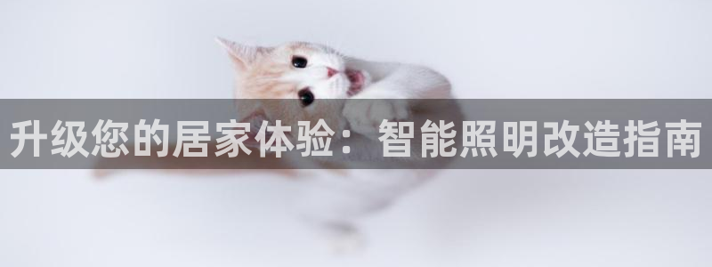 云顶国际在线登录
