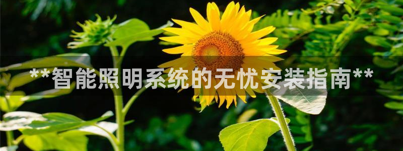 云顶集团app