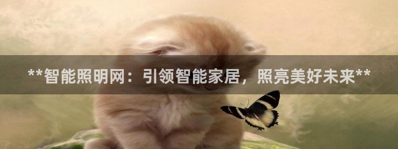 2322云顶国际手机版