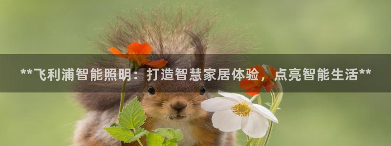 云顶国际俱乐部官网