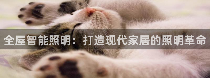 云顶集团网投领头