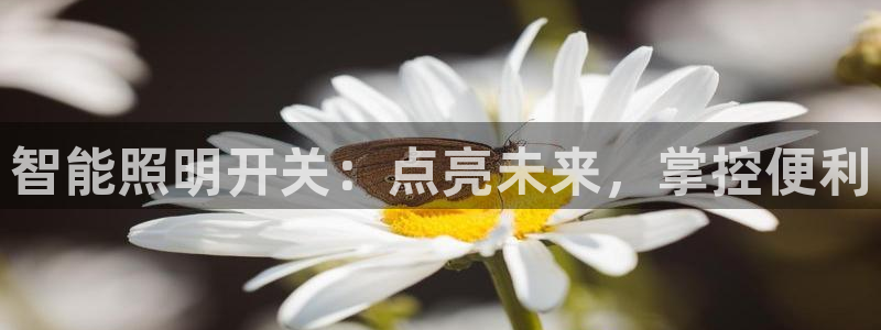 云顶集团注册送28