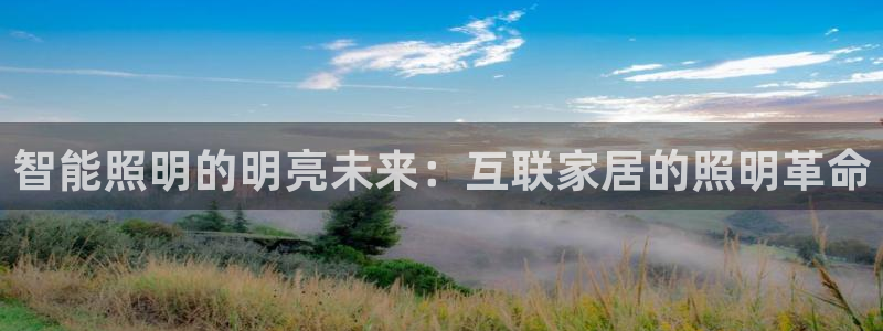 云顶国际物流官网