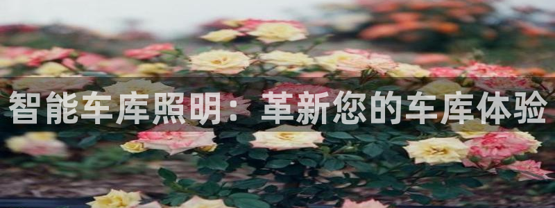 中国云顶控股集团