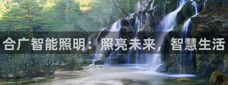 云顶国际是做什么的公司