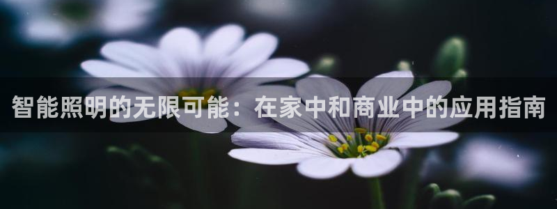 云顶集团公司简介