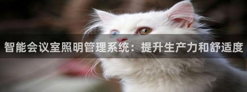 云顶国际服和端游互通吗