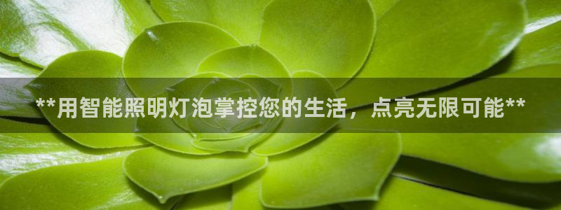 云顶国际的网址是多少位