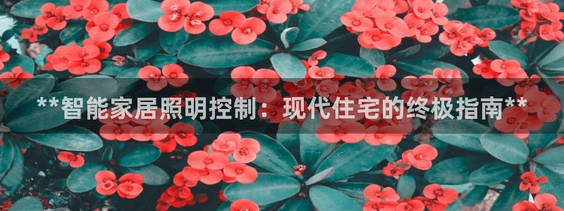 云顶集团app