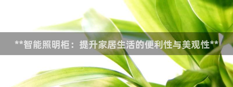 云顶国际游戏平台排行榜