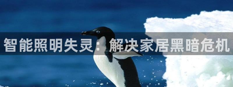 云顶国际nba智库