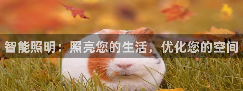 云顶国际会所是干嘛的地方