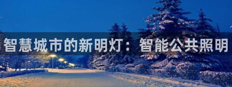 云顶国际A405