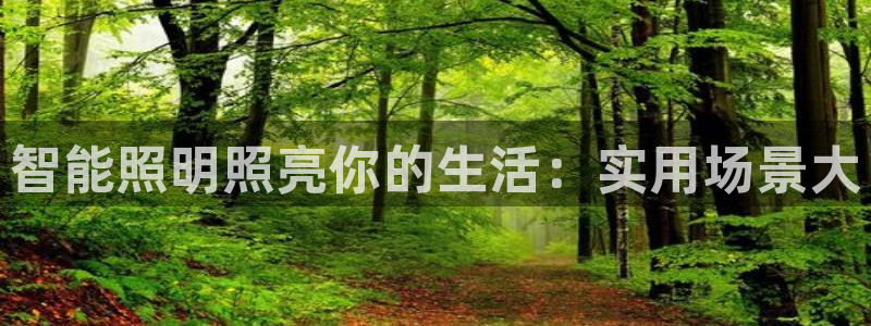 云顶国际测试服怎么进