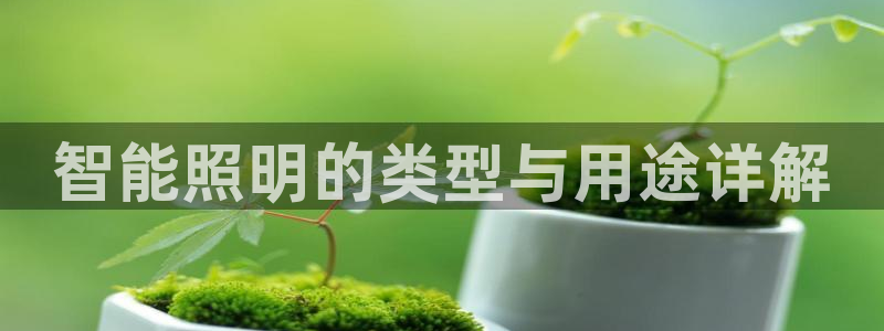 云顶国际服s9