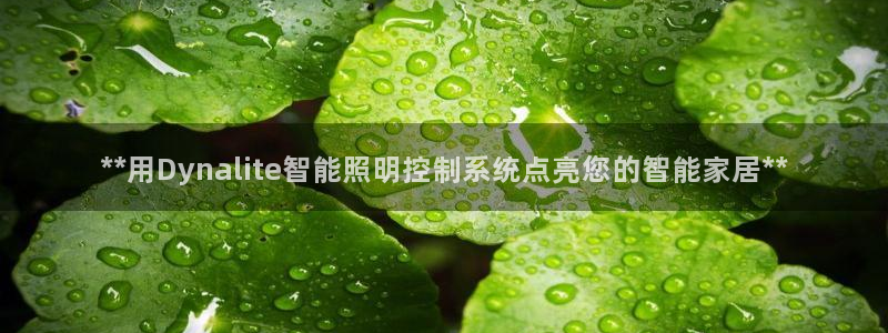 云顶国际公馆房价