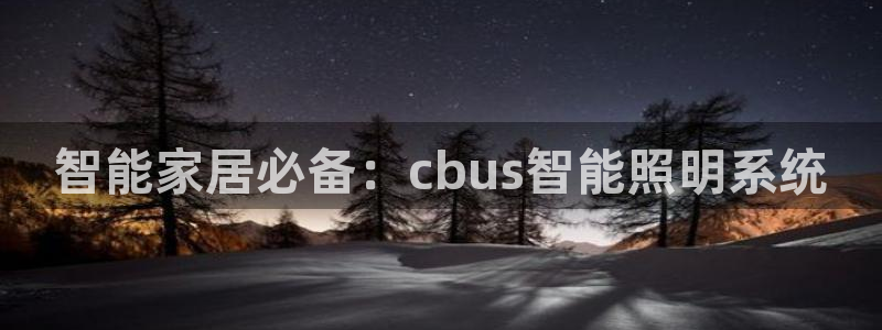 云顶国际服联机