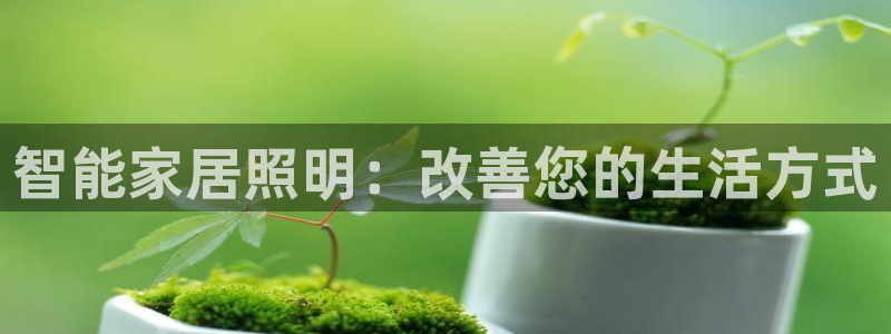 云顶集团老总个人资料