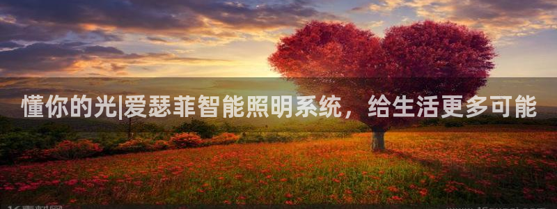 云顶国际app官方下载安装手机版