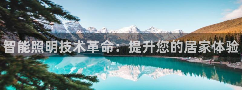 云顶国际服S9什么时候更新